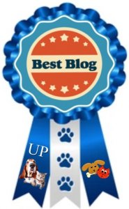 best blog award ribbon